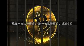 现在一枚比特币多少钱(一枚比特币多少钱2021)