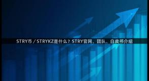 STRY币／STRYKZ是什么？STRY官网、团队、白皮书介绍