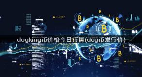 dogking币价格今日行情(dog币发行价)