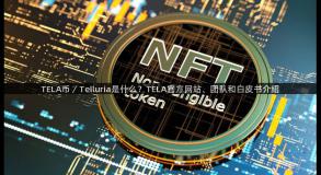 TELA币／Telluria是什么？TELA官方网站、团队和白皮书介绍