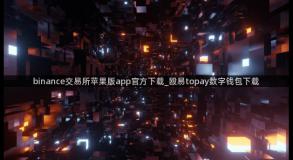 binance交易所苹果版app官方下载_殴易topay数字钱包下载