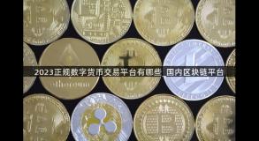 2023正规数字货币交易平台有哪些_国内区块链平台