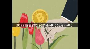 2022最值得投资的币种（投资币种）