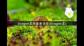 Dragon龙网最新消息(Dragon龙)
