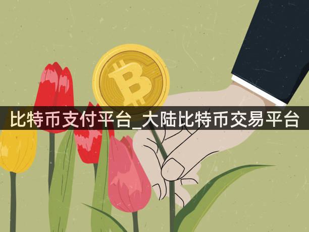 比特币支付平台_大陆比特币交易平台