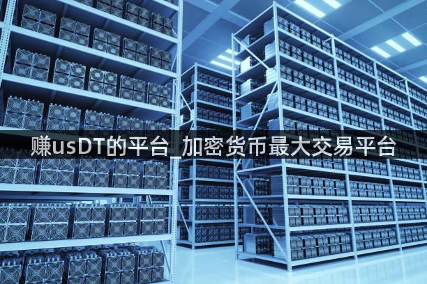 赚usDT的平台_加密货币最大交易平台
