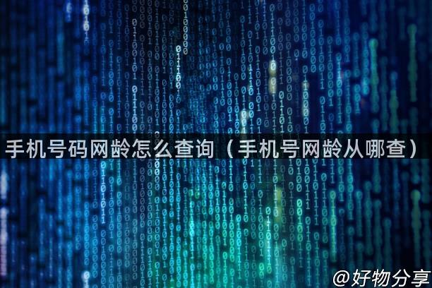 手机号码网龄怎么查询（手机号网龄从哪查）