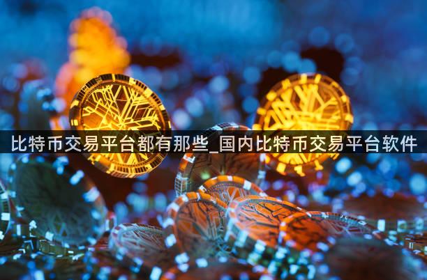 比特币交易平台都有那些_国内比特币交易平台软件