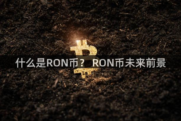 什么是RON币？ RON币未来前景