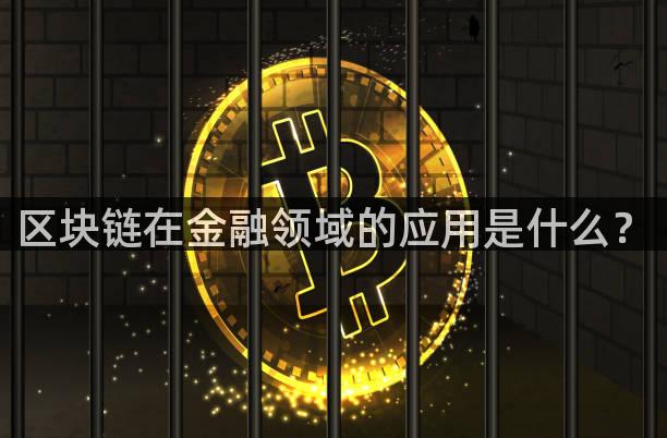 区块链在金融领域的应用是什么？