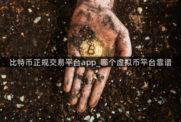 比特币正规交易平台app_哪个虚拟币平台靠谱