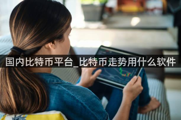 国内比特币平台_比特币走势用什么软件