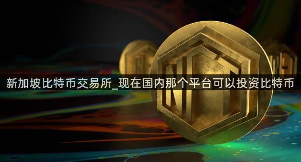 新加坡比特币交易所_现在国内那个平台可以投资比特币
