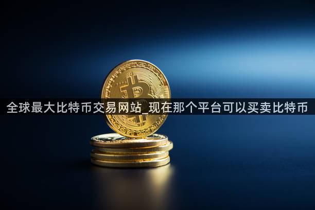 全球最大比特币交易网站_现在那个平台可以买卖比特币