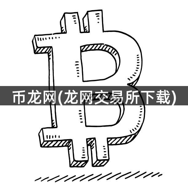 币龙网(龙网交易所下载)