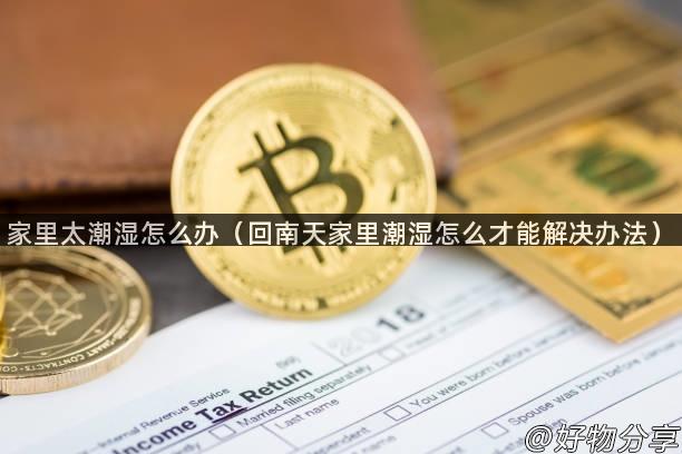 家里太潮湿怎么办（回南天家里潮湿怎么才能解决办法）