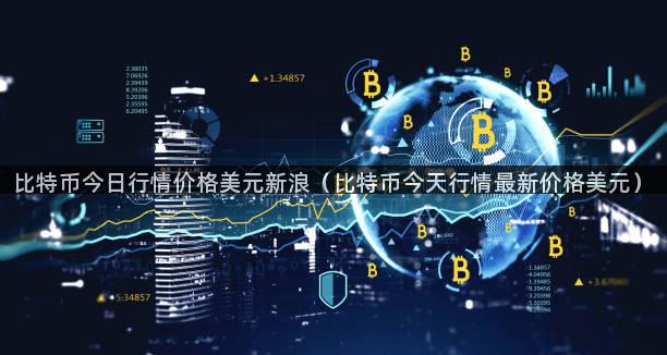 比特币今日行情价格美元新浪（比特币今天行情最新价格美元）