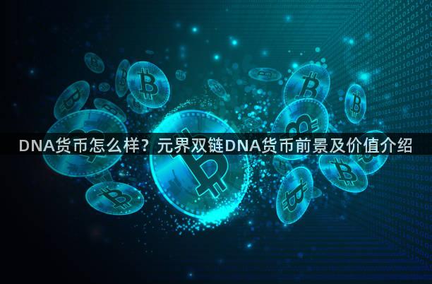 DNA货币怎么样？元界双链DNA货币前景及价值介绍