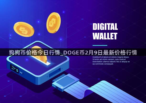 狗狗币价格今日行情_DOGE币2月9日最新价格行情