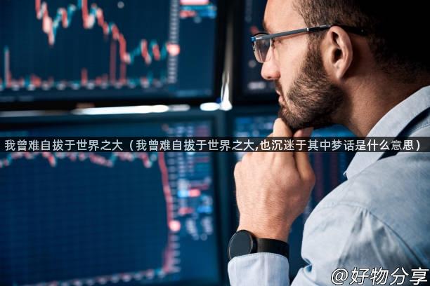 我曾难自拔于世界之大（我曾难自拔于世界之大,也沉迷于其中梦话是什么意思）