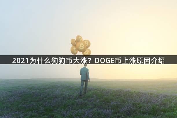 2021为什么狗狗币大涨？DOGE币上涨原因介绍