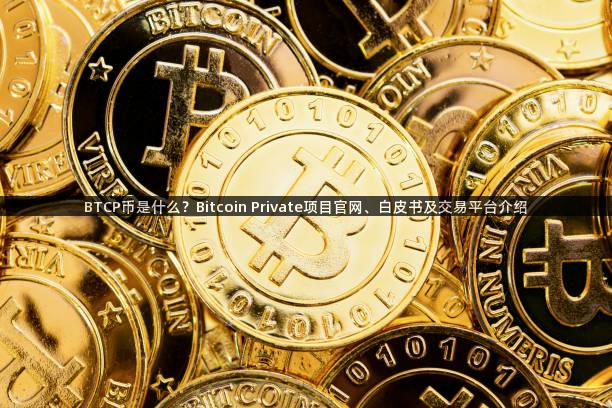 BTCP币是什么？Bitcoin Private项目官网、白皮书及交易平台介绍