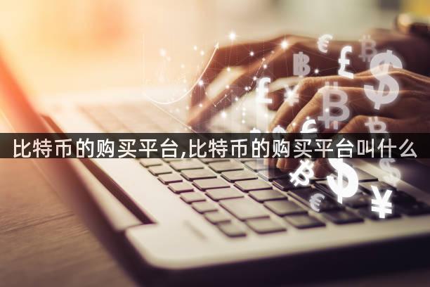 比特币的购买平台,比特币的购买平台叫什么