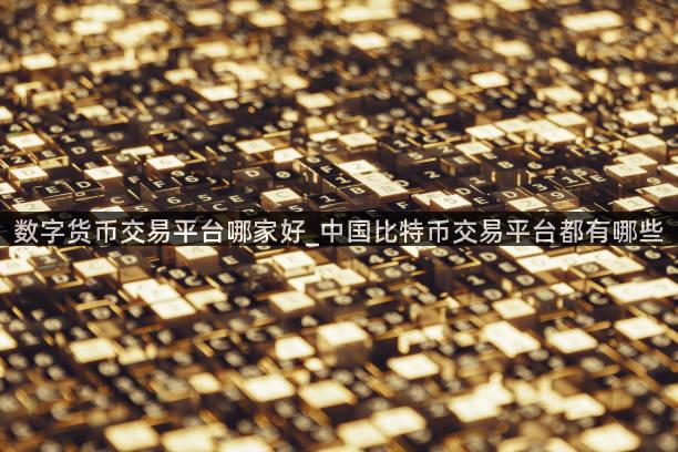 数字货币交易平台哪家好_中国比特币交易平台都有哪些