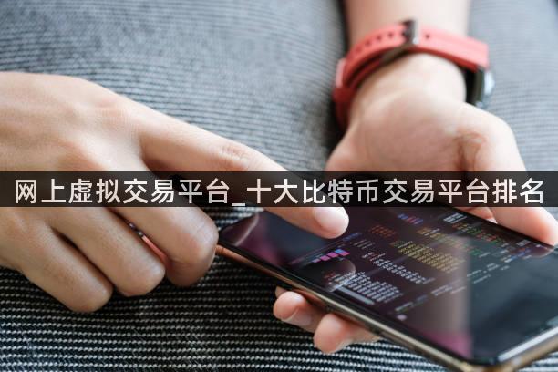 网上虚拟交易平台_十大比特币交易平台排名