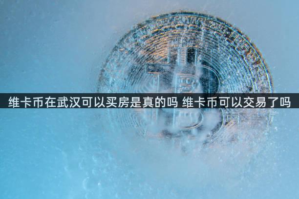 维卡币在武汉可以买房是真的吗 维卡币可以交易了吗