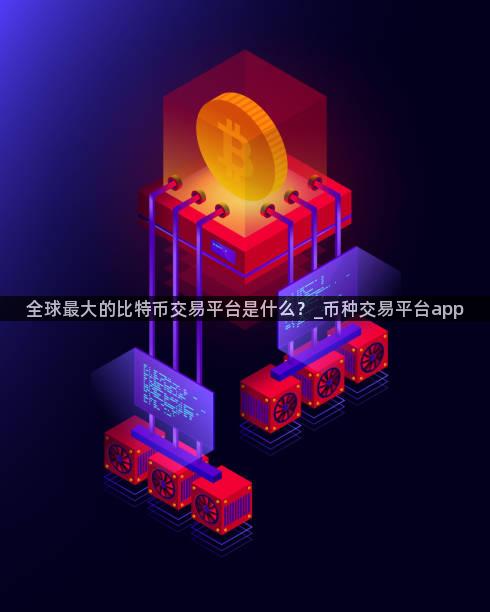 全球最大的比特币交易平台是什么？_币种交易平台app