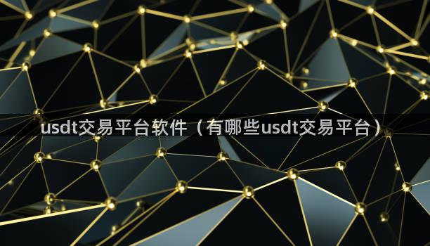 usdt交易平台软件（有哪些usdt交易平台）