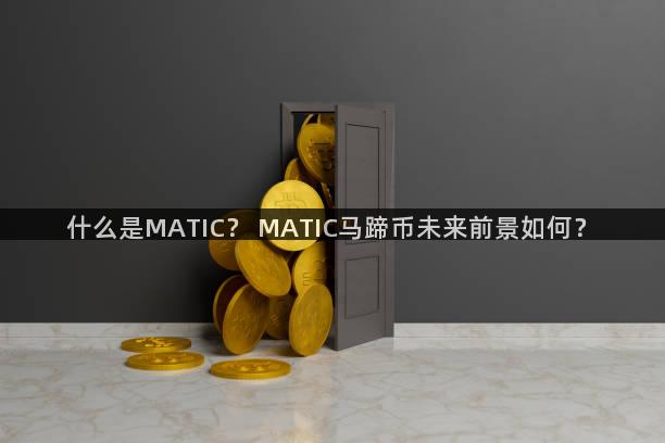 什么是MATIC？ MATIC马蹄币未来前景如何？