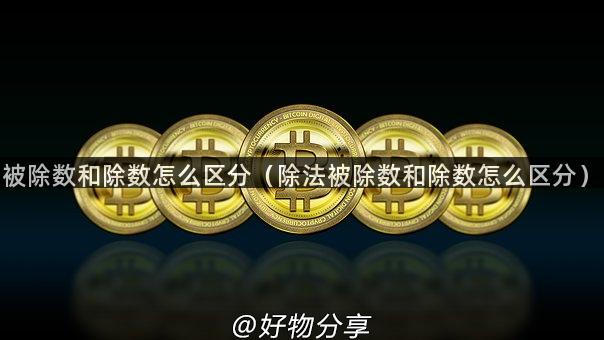 被除数和除数怎么区分(除法被除数和除数怎么区分)