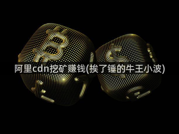 阿里cdn挖矿赚钱(挨了锤的牛王小波)