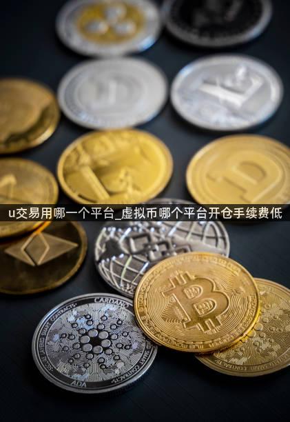 u交易用哪一个平台_虚拟币哪个平台开仓手续费低