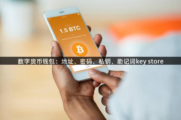数字货币钱包：地址、密码、私钥、助记词key store