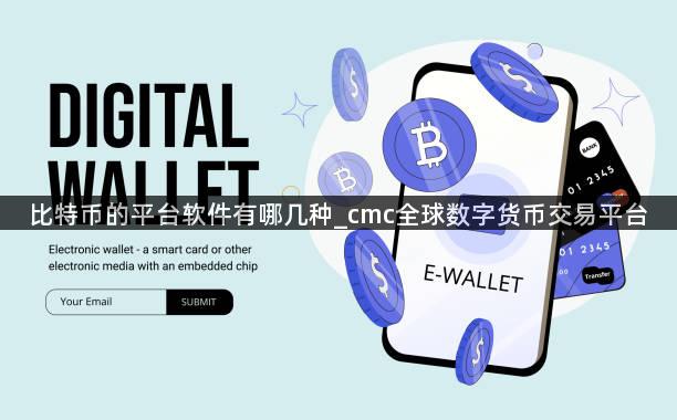 比特币的平台软件有哪几种_cmc全球数字货币交易平台