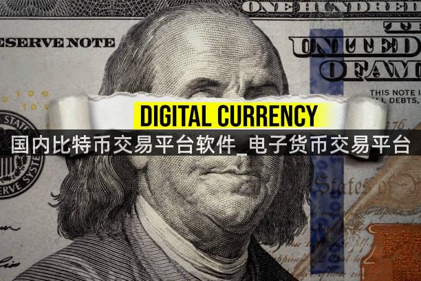 国内比特币交易平台软件_电子货币交易平台