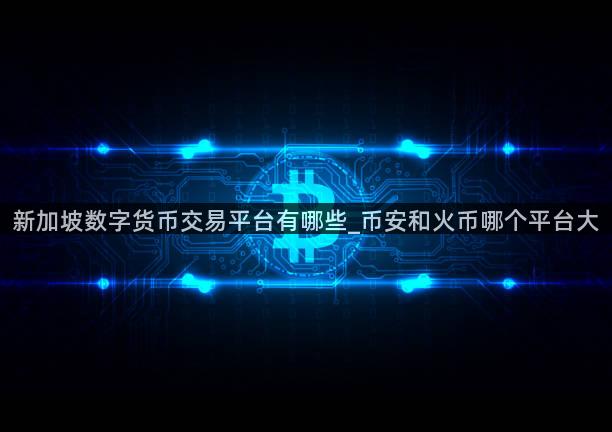新加坡数字货币交易平台有哪些_币安和火币哪个平台大