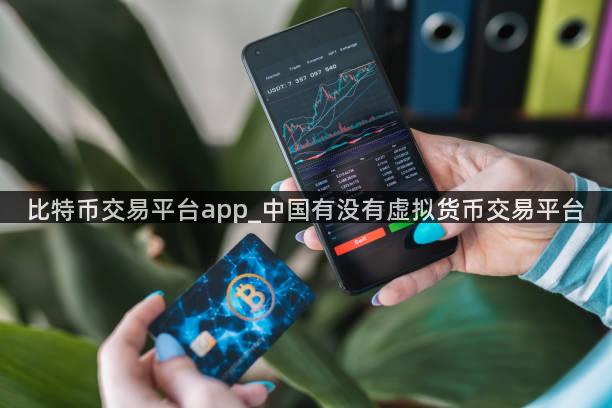 比特币交易平台app_中国有没有虚拟货币交易平台