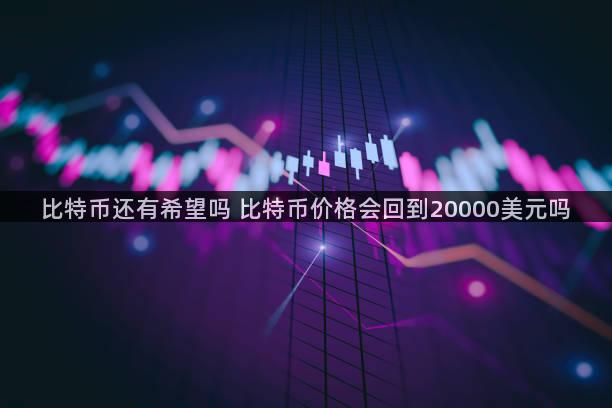 比特币还有希望吗 比特币价格会回到20000美元吗