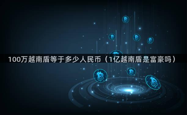 100万越南盾等于多少人民币（1亿越南盾是富豪吗）