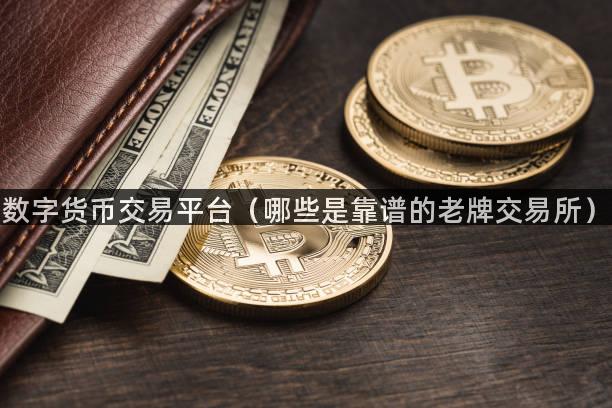 数字货币交易平台（哪些是靠谱的老牌交易所）