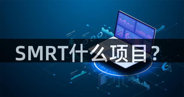 SMRT什么项目？
