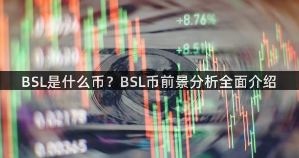 BSL是什么币？BSL币前景分析全面介绍