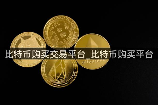 比特币购买交易平台_比特币购买平台