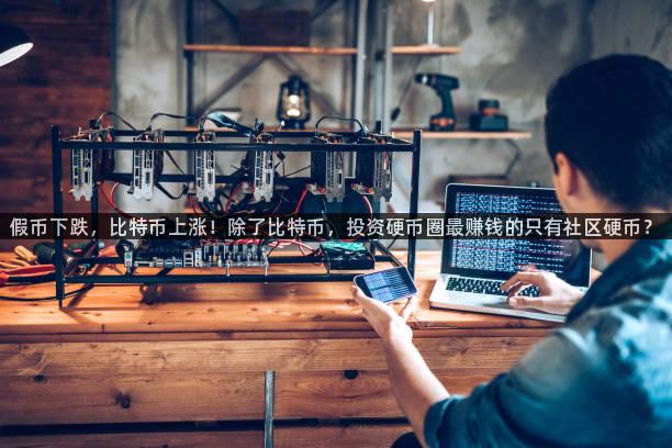 假币下跌,比特币上涨!除了比特币,投资硬币圈最赚钱的只有社区硬币?