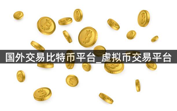 国外交易比特币平台_虚拟币交易平台