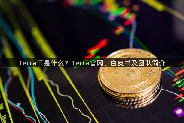 Terra币是什么？Terra官网、白皮书及团队简介